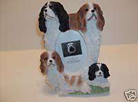 King Charles Cavalier (3.5 X 5) Picture Frame #ES156  