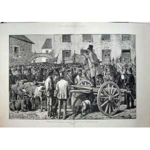   1881 Land League Agitation Ireland Sheriff Cattle Sale