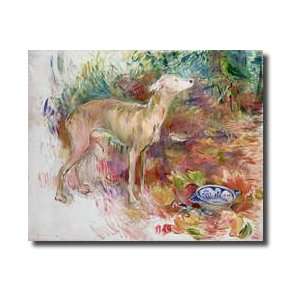  Laerte The Greyhound 1894 Giclee Print