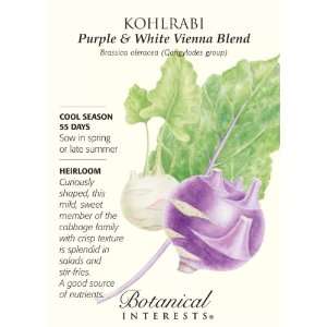  Kohlrabi Purple & White Blend Seed Patio, Lawn & Garden