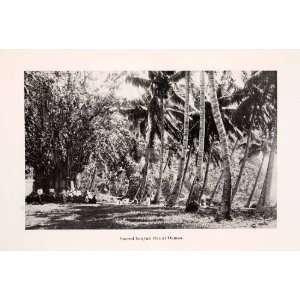  1920 Halftone Print Banyan Tree Oomoa Sacred French 