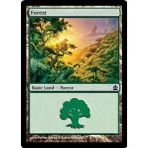    Magic the Gathering   Forest (317)   Commander Toys & Games