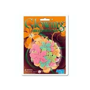  Glow in the Dark Color Glitter Hibiscus Toys & Games