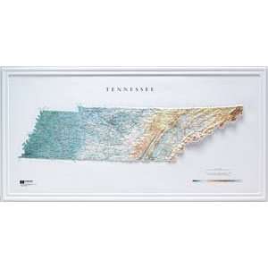   Scientific Raised Relief Map 962 Tennessee State Map Toys & Games