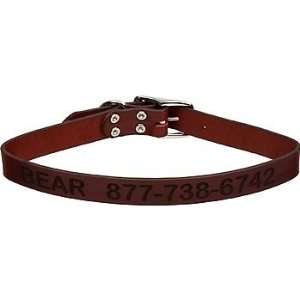    Coastal Pet Personalized Leather Collar in Brown