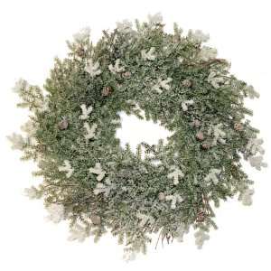   Good Tidings 2301 Wreath Common Juniper Snow, 30 Inch