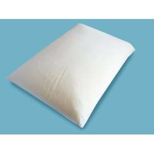  Viscorelax 5 inch Visco Elastic Foam Pillow and Cover Set 