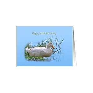  88th Birthday Card with Pekin Duck Card Toys & Games