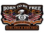 BORN FREE EAGLE V TWIN ENGINE PATCH 11 inch PATCH