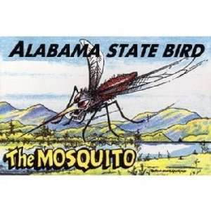  Alabama Postcard Al104 State Bird