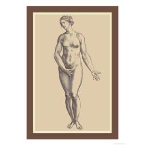  Woman by Andreas Vesalius 12x18