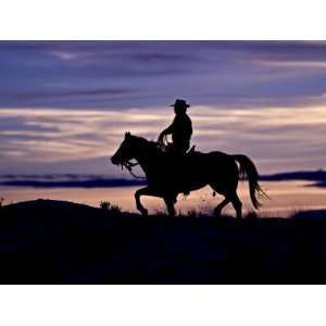  Cowboy on Horses on Hideout Ranch, Shell, Wyoming, USA 