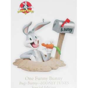 One Funny Bunny 
