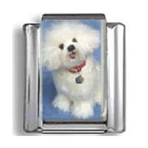  Bichon Frise Photo Italian Charm Jewelry