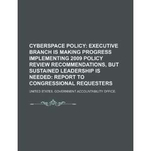  policy Executive Branch is making progress implementing 2009 policy 