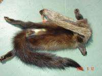 Fisher pelt w/ft New York hide skin tanned/dressed fur.  