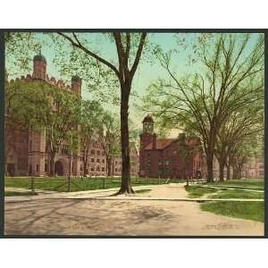  Phelps Hall,Lyceum,Yale College,University,CT,c1901
