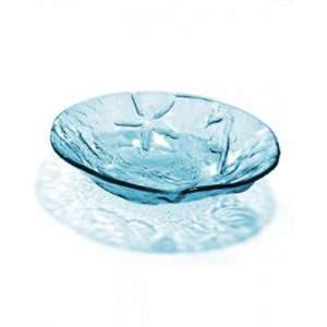  Seafood Watch bowl Handmade glass 12 bowl produced in the 