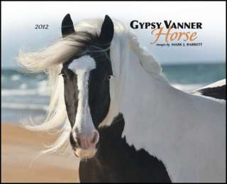 Gypsy Vanner Horse 2012 Wall Calendar 9781607554332  