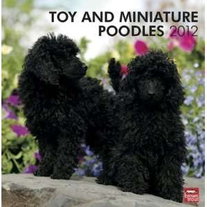  Toy and Miniature Poodles 2012 Wall Calendar (12 X 12 