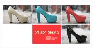 2012 New Fashion Sexy Woman Vintage Stiletto Platform Pump Thick High 