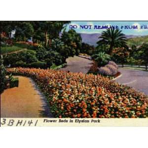 Reprint Los Angeles CA   Flower Beds in Elysian Park. 3BH141 1940 1949 