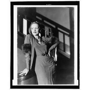  Marlene Dietrich,1901 1992,German American actress,singer 