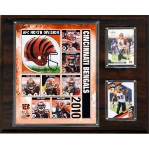  NFL Cincinnati Bengals 2010 Team Plaque