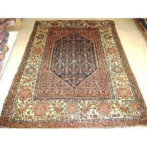   4x6 Hand Knotted malayer Persian Rug   65x44