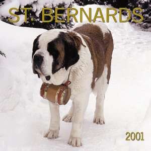  Saint Bernards 2001 Calendar (9780763133474) Books