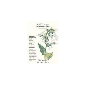   Botanical Interest   Nicotiana Indian Peace Pipe Patio, Lawn & Garden
