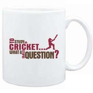 New  To Study Or Cricket  What A Stupid Question ?  Mug Sports 