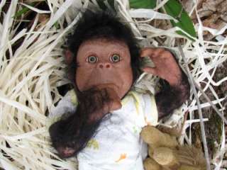   Lifelike Newborn Realistic baby girl Chimpanzee Monkey Chimp Ape OOAK