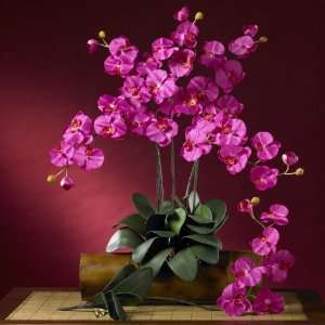   Silk Orchid Flower w/Leaves (6 Stems) Beauty Colors   Silk Flower