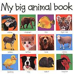 My Big Animal Book  