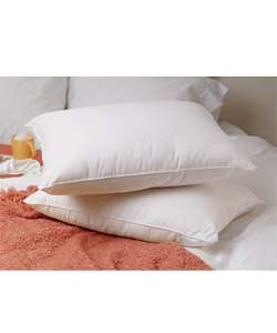   Soft Goose Down Standard Size Pillows (Set of 2)  