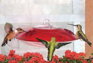 Bird Feeder  Droll Yankees Window Hummingbird Feeder  