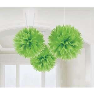  Kiwi Fluffy Decorations Toys & Games