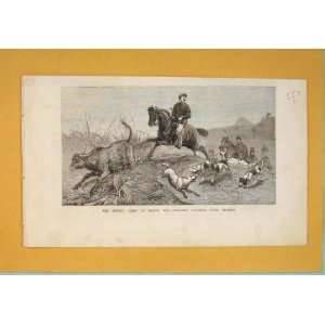    British Fleet Besika Bay Hunting Beagles Dogs 1877