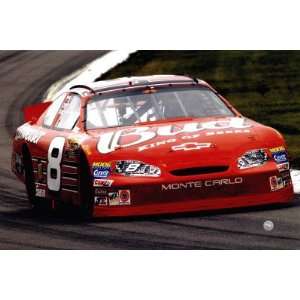    Dale Earnhardt Jr.   Budweiser Car on Track , 30x20