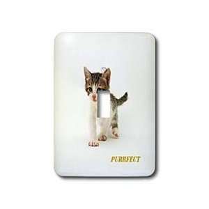 Florene Cat   Adorable Kitten With Word Purrfect   Light Switch Covers 