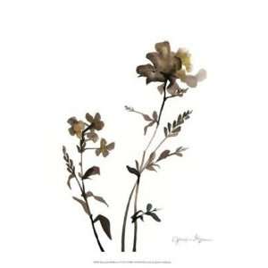  Watermark Wildflowers VI by Jennifer Goldberger 13x16 