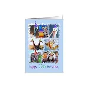  Colorful 80th Birthday Zoo Animals Card Toys & Games