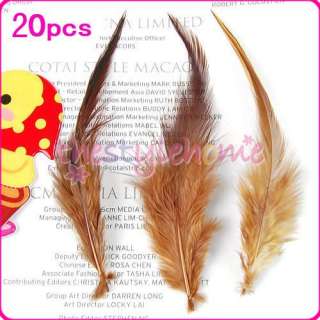 Assorted Rooster Coque Feathers Hat Mask Craft 15 color  