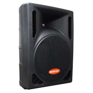  GENESIS GS 412 Bi Amp 12 Inch Loudspeaker, Black Musical 