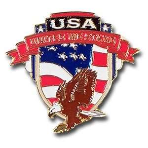  Flying Eagle United We Stand Pin 