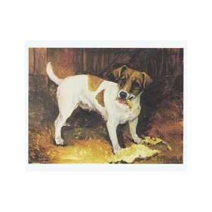  Jack Russell Terrier Notecards