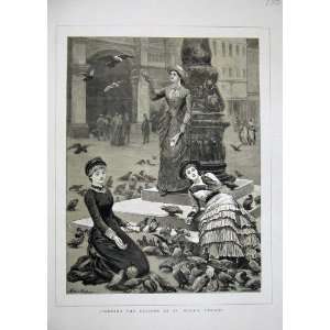   1884 Women Feeding Pigeons St MarkS Venice Fine Art