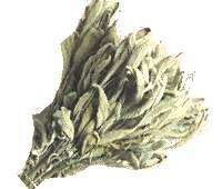Herbal Loose White Sage 1 Pound  