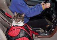 LARGE PET GEAR DOG CAT AVIATOR CARRIER/CAR SEAT/BED  